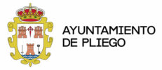 Ayto Pliego